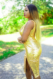 SHOW STOPPER DRESS