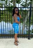 Blue Dream Dress